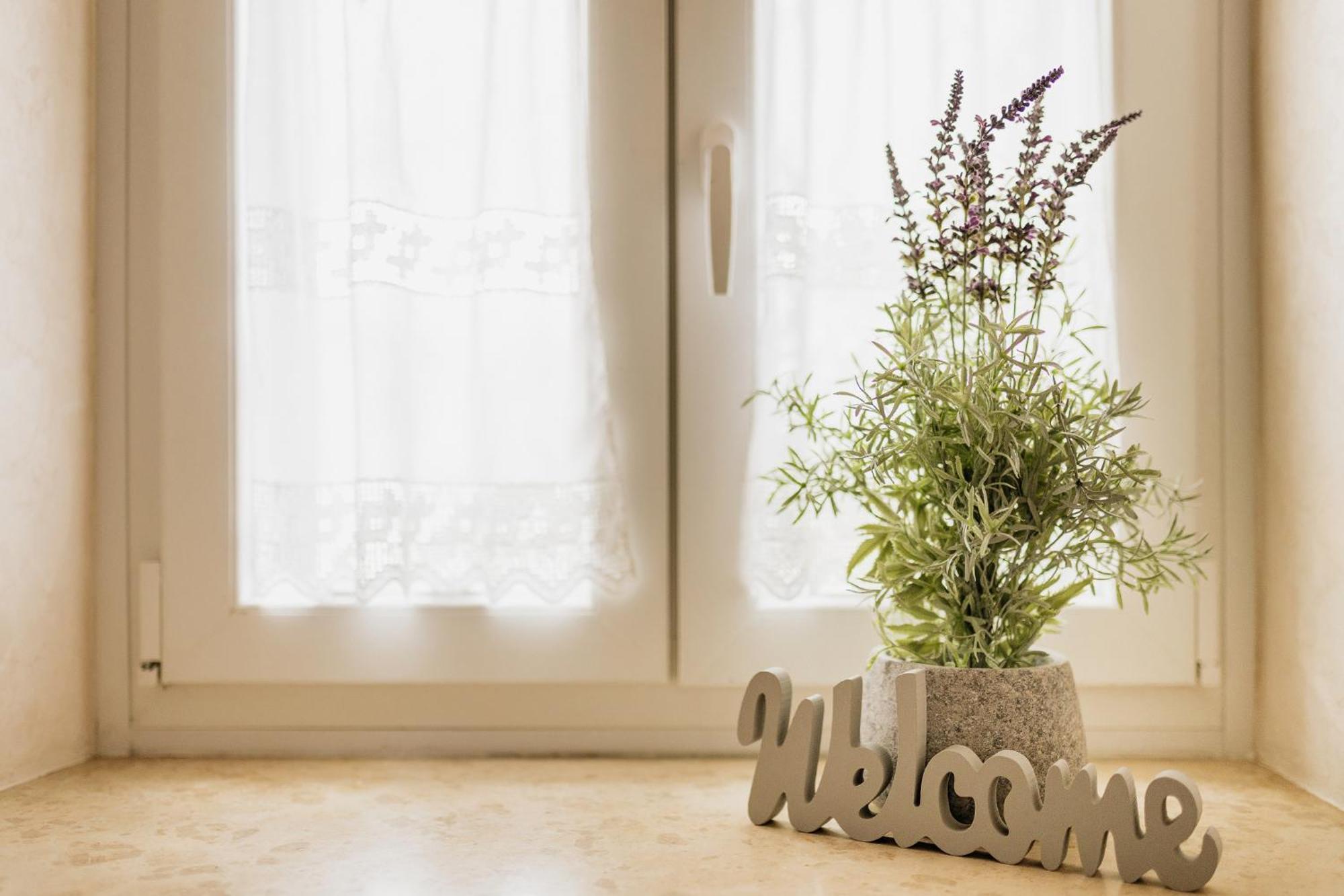 Apartments Mirna Stress Free Babici Kültér fotó