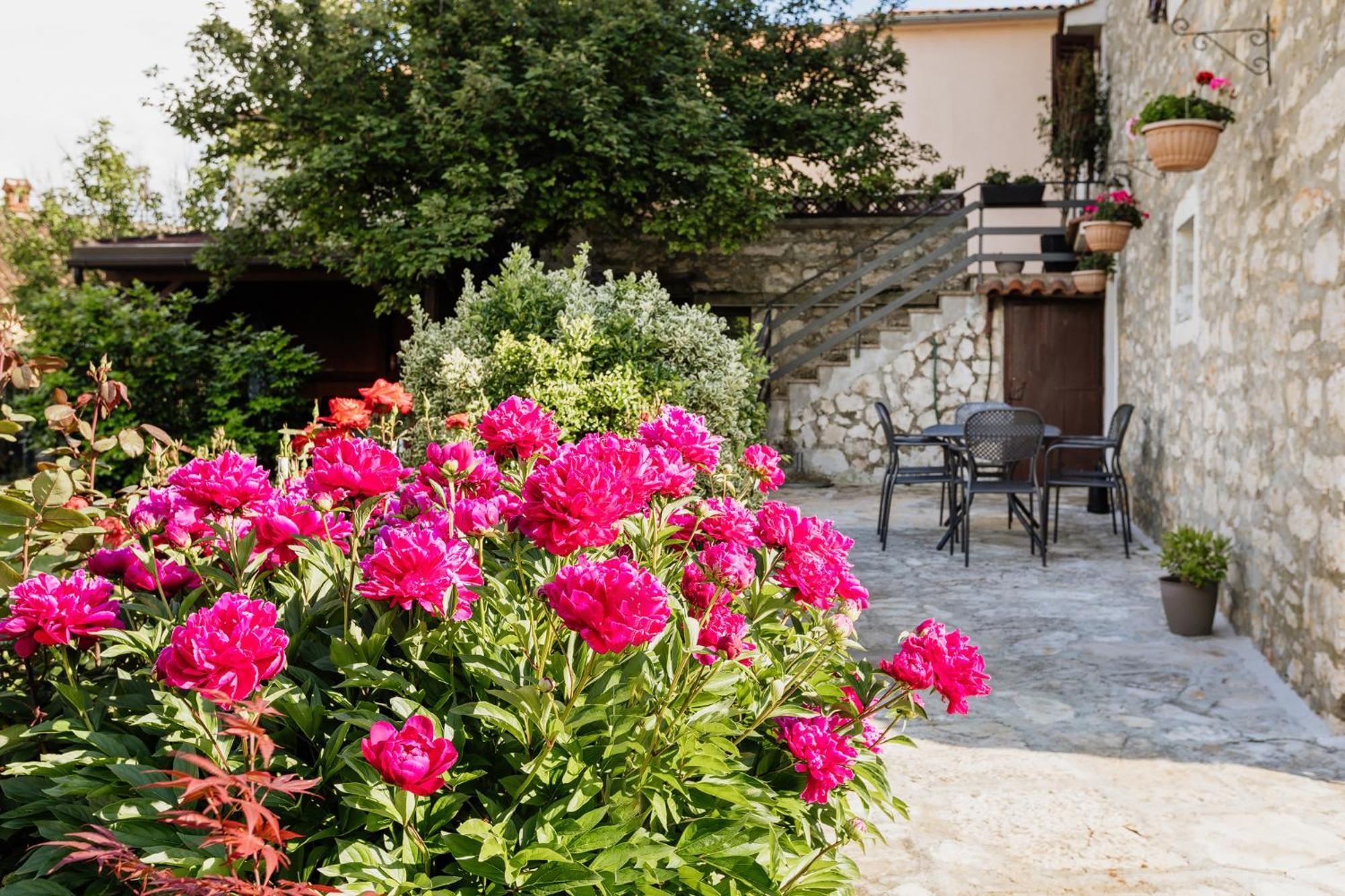 Apartments Mirna Stress Free Babici Kültér fotó